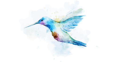 hummingbird-watercolor
